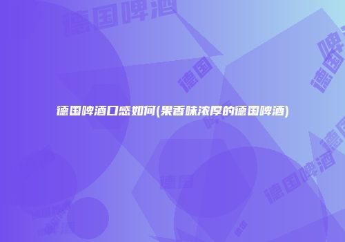 德国啤酒口感如何(果香味浓厚的德国啤酒)