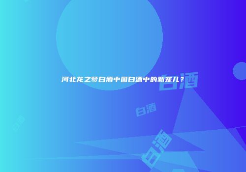 河北龙之梦白酒中国白酒中的新宠儿？