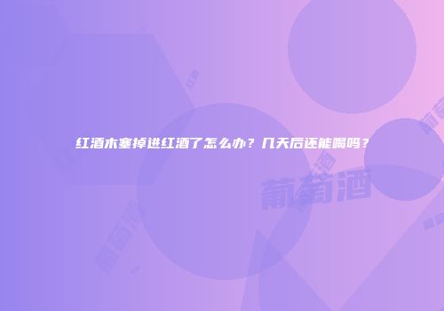 红酒木塞掉进红酒了怎么办？几天后还能喝吗？