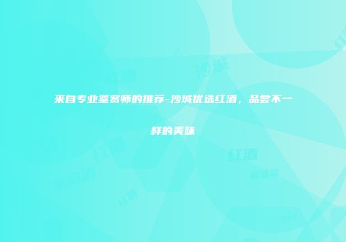 来自专业鉴赏师的推荐-沙城优选红酒，品尝不一样的美味