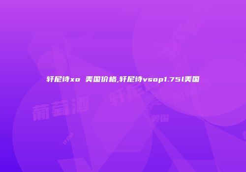 轩尼诗xo 美国价格,轩尼诗vsop1.75l美国