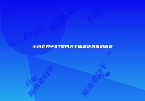 衡水老白干67度白酒全面解析与价格概览