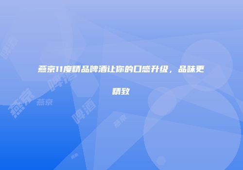 燕京11度精品啤酒让你的口感升级，品味更精致