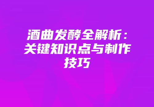 酒曲发酵全解析：关键知识点与制作技巧