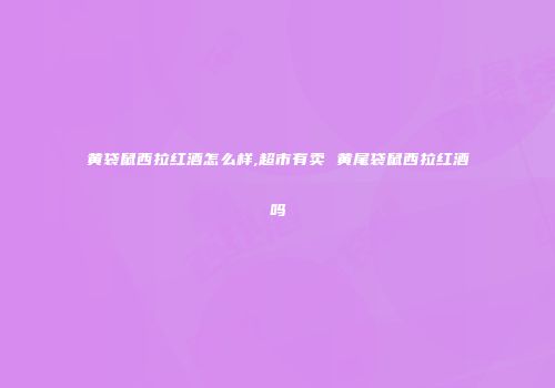黄袋鼠西拉红酒怎么样,超市有卖 黄尾袋鼠西拉红酒吗
