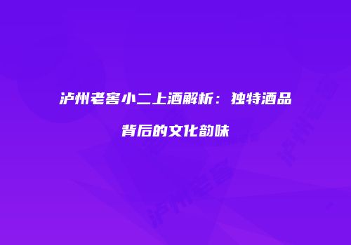 泸州老窖小二上酒解析：独特酒品背后的文化韵味