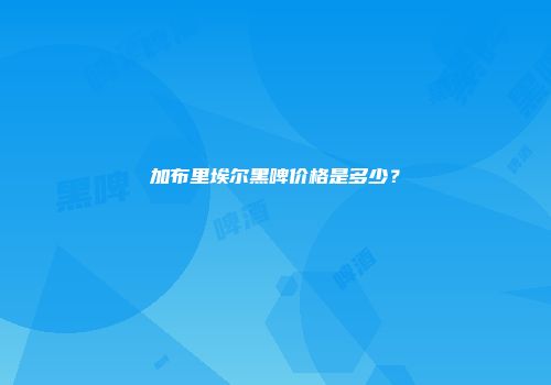 加布里埃尔黑啤价格是多少？