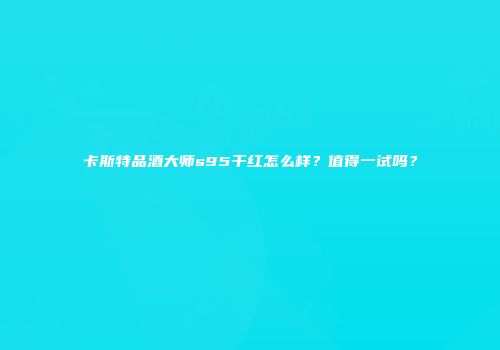 卡斯特品酒大师s95干红怎么样？值得一试吗？