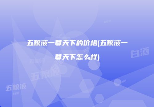 五粮液一尊天下的价格(五粮液一尊天下怎么样)