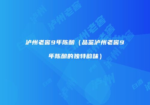 泸州老窖9年陈酿（品鉴泸州老窖9年陈酿的独特韵味）