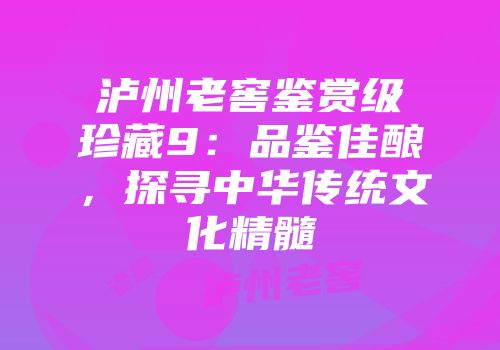 泸州老窖鉴赏级珍藏9：品鉴佳酿，探寻中华传统文化精髓