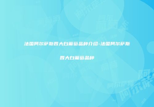 法国阿尔萨斯四大白葡萄品种介绍-法国阿尔萨斯四大白葡萄品种
