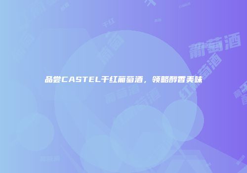 品尝CASTEL干红葡萄酒，领略醇香美味