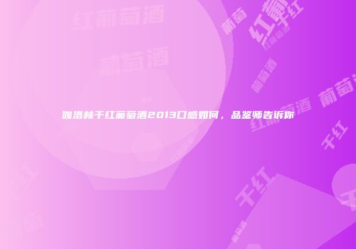 伽洛林干红葡萄酒2013口感如何，品鉴师告诉你