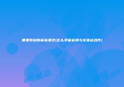 哪里有自酿葡萄酒卖(怎么卖葡萄酒与实体店合作)