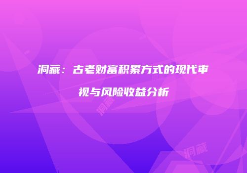 洞藏：古老财富积累方式的现代审视与风险收益分析