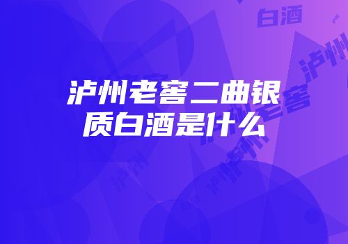 泸州老窖二曲银质白酒是什么