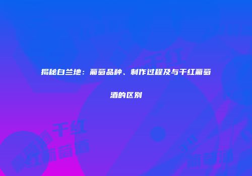 揭秘白兰地：葡萄品种、制作过程及与干红葡萄酒的区别