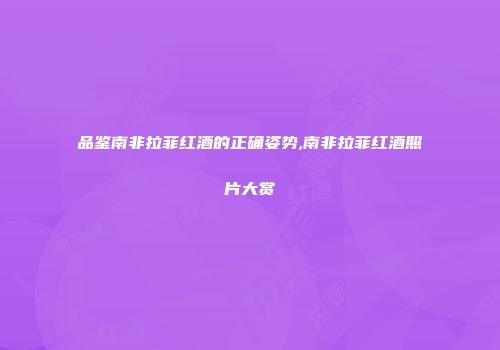 品鉴南非拉菲红酒的正确姿势,南非拉菲红酒照片大赏