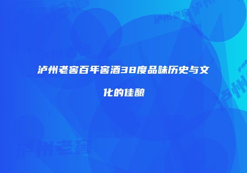泸州老窖百年窖酒38度品味历史与文化的佳酿