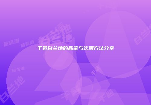 干邑白兰地的品鉴与饮用方法分享