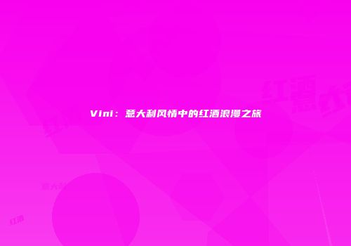Vini：意大利风情中的红酒浪漫之旅