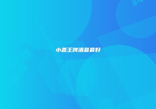 小麦王啤酒最最好