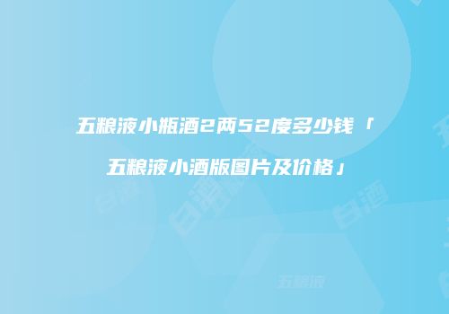 五粮液小瓶酒2两52度多少钱「五粮液小酒版图片及价格」