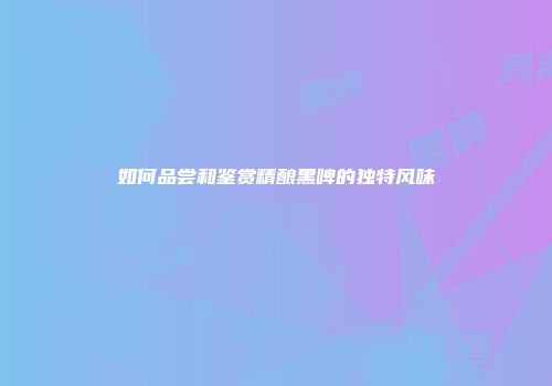 如何品尝和鉴赏精酿黑啤的独特风味