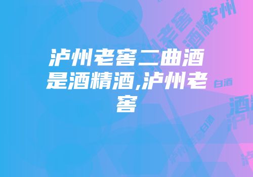 泸州老窖二曲酒是酒精酒,泸州老窖