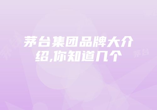 茅台集团品牌大介绍,你知道几个
