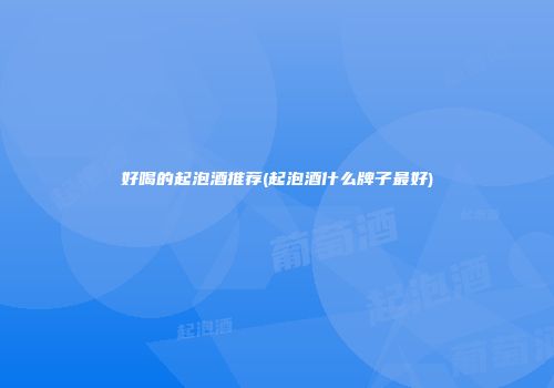 好喝的起泡酒推荐(起泡酒什么牌子最好)