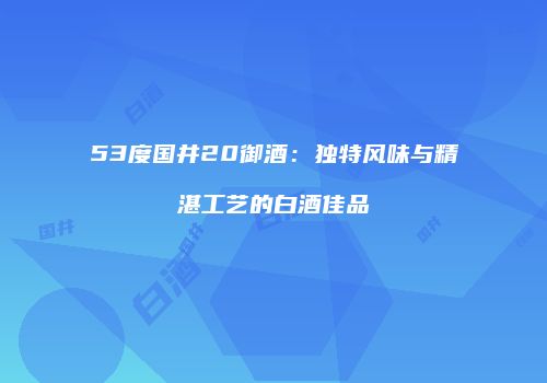 53度国井20御酒：独特风味与精湛工艺的白酒佳品