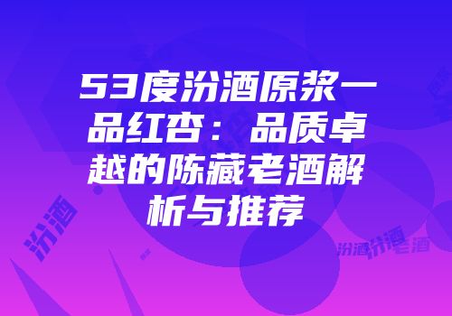 53度汾酒原浆一品红杏：品质卓越的陈藏老酒解析与推荐