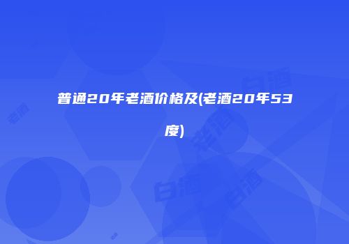 普通20年老酒价格及(老酒20年53度)