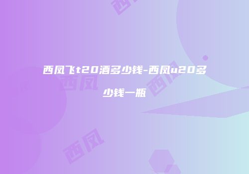 西凤飞t20酒多少钱-西凤u20多少钱一瓶