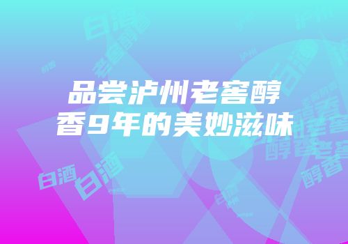 品尝泸州老窖醇香9年的美妙滋味