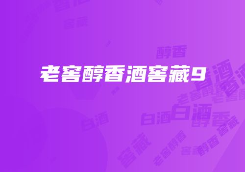 老窖醇香酒窖藏9
