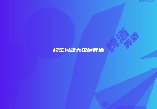 纯生风味大拉罐啤酒