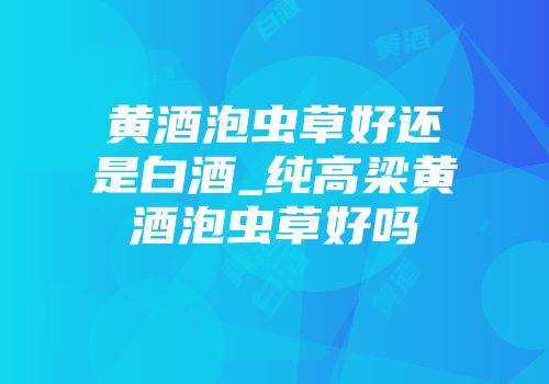 黄酒泡虫草好还是白酒_纯高梁黄酒泡虫草好吗