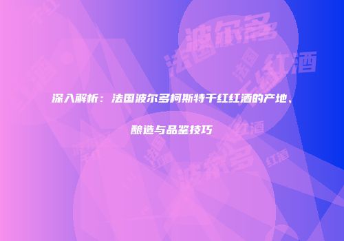 深入解析：法国波尔多柯斯特干红红酒的产地、酿造与品鉴技巧