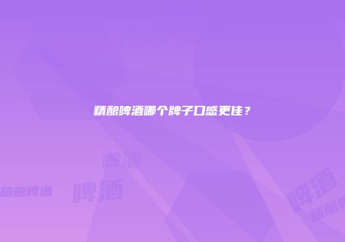 精酿啤酒哪个牌子口感更佳？