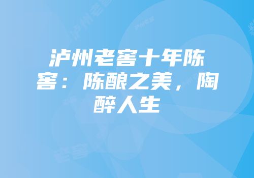 泸州老窖十年陈窖：陈酿之美，陶醉人生