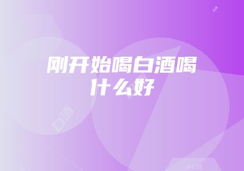刚开始喝白酒喝什么好