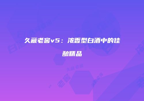 久藏老窖v5：浓香型白酒中的佳酿精品