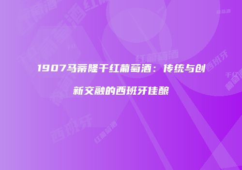 1907马蒂隆干红葡萄酒：传统与创新交融的西班牙佳酿