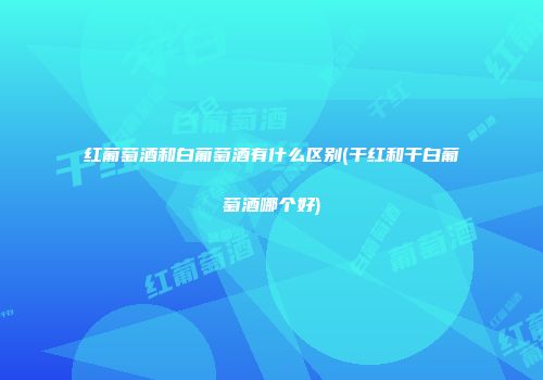 红葡萄酒和白葡萄酒有什么区别(干红和干白葡萄酒哪个好)
