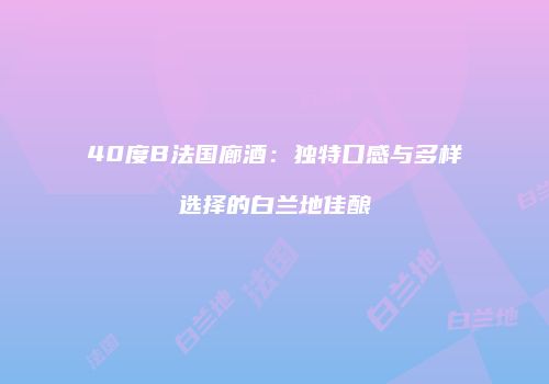 40度B法国廊酒：独特口感与多样选择的白兰地佳酿
