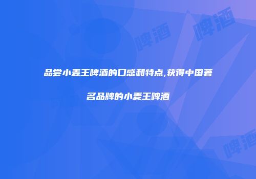 品尝小麦王啤酒的口感和特点,获得中国著名品牌的小麦王啤酒
