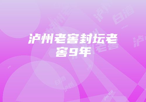 泸州老窖封坛老窖9年